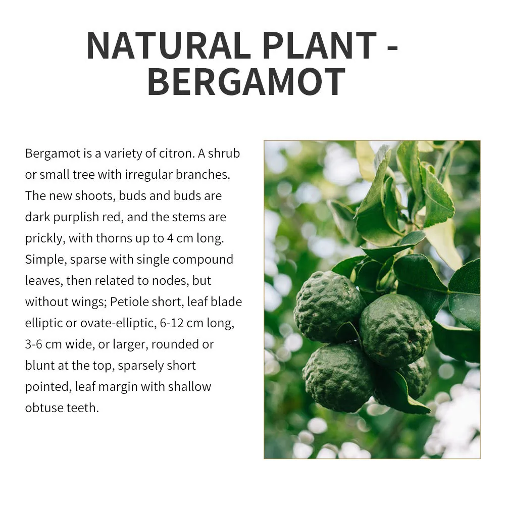 Bergamot Oil