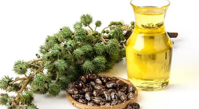 Castor Oil