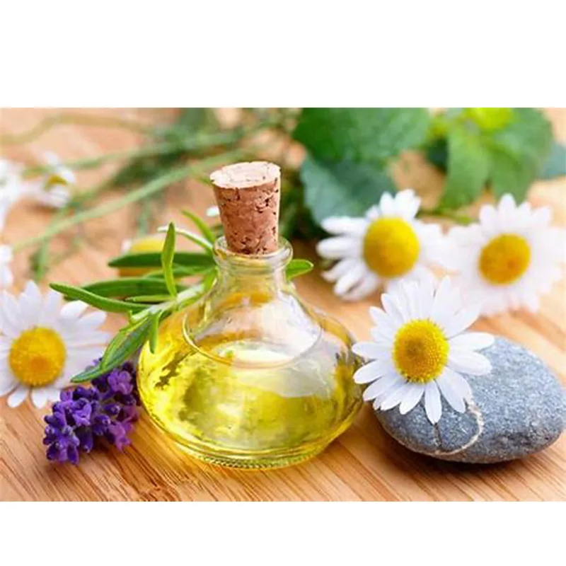 Chamomile Oil