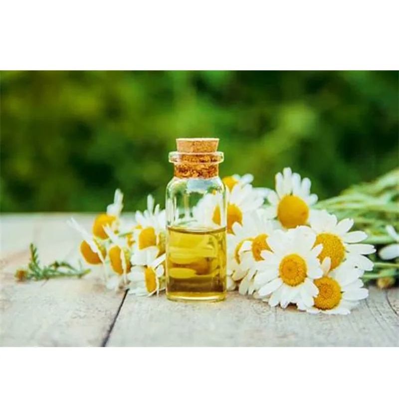 Chamomile Oil