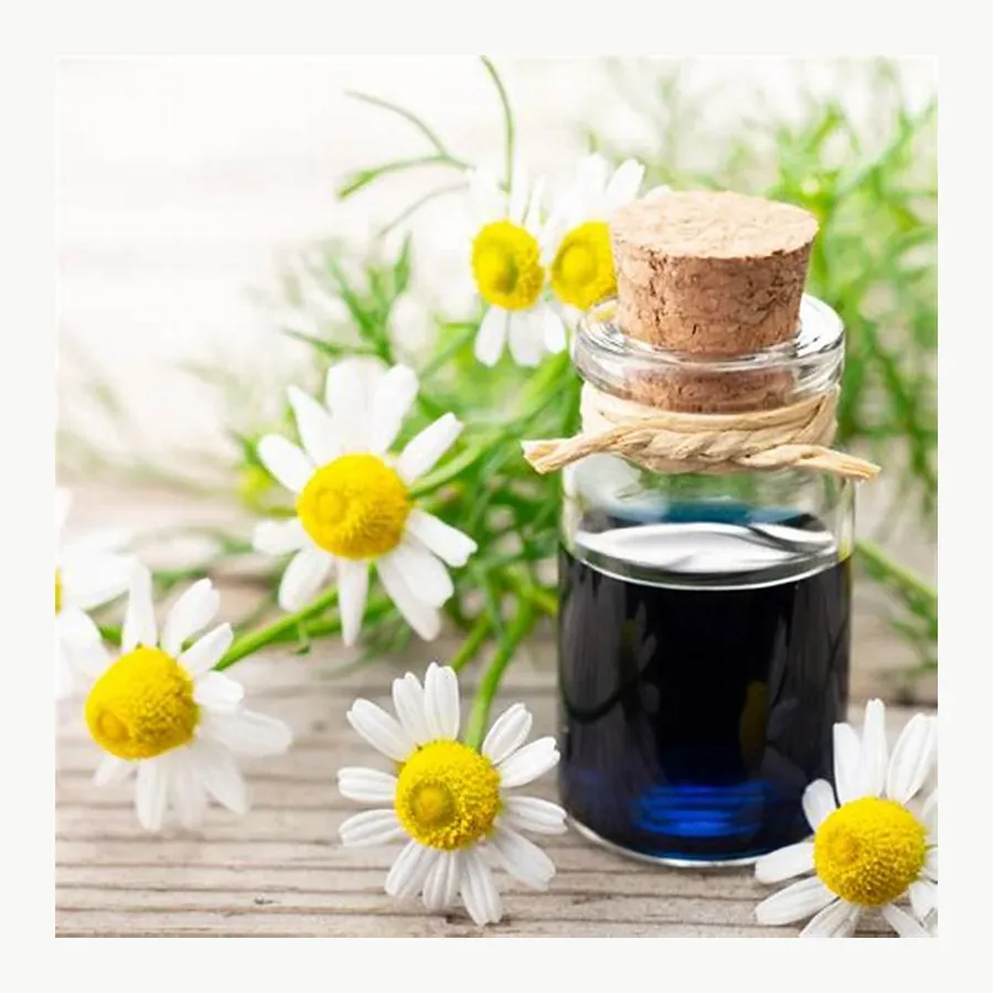 Essential Oil Set