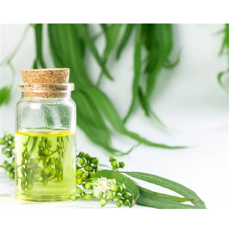 Eucalyptus Oil