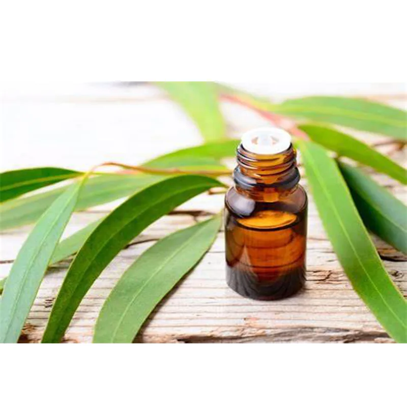 Eucalyptus Oil