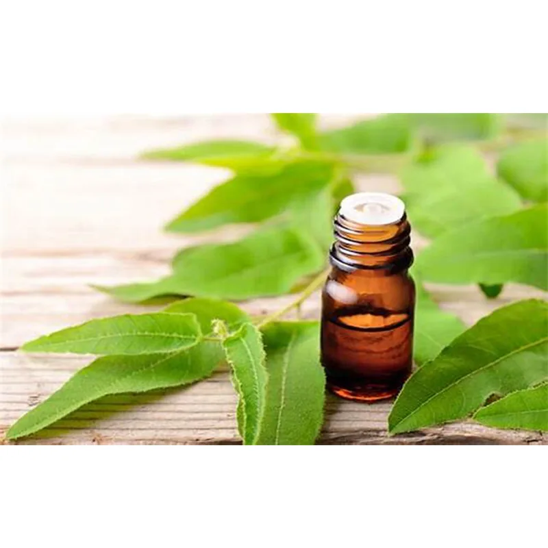 Eucalyptus Oil