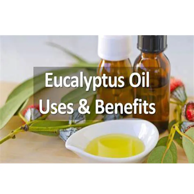 Eucalyptus Oil