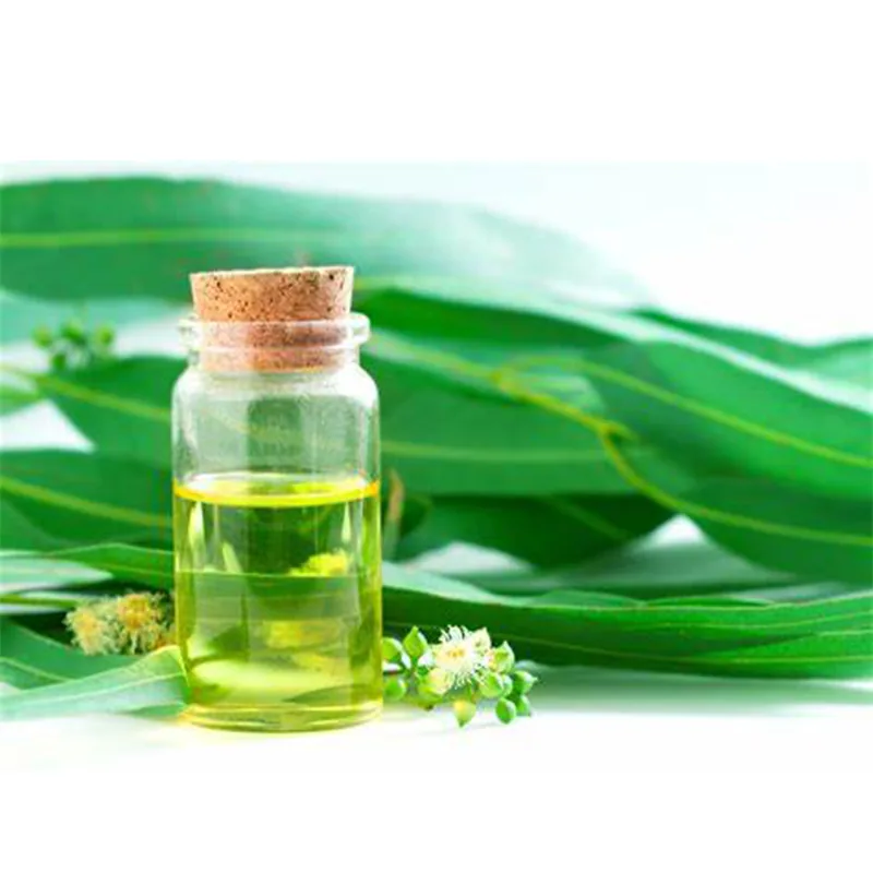 Eucalyptus Oil