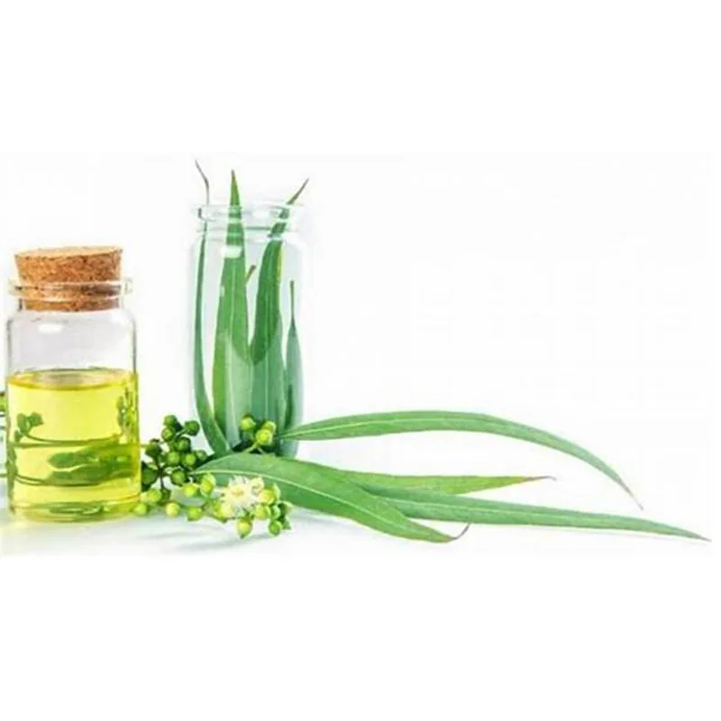 Eucalyptus Oil