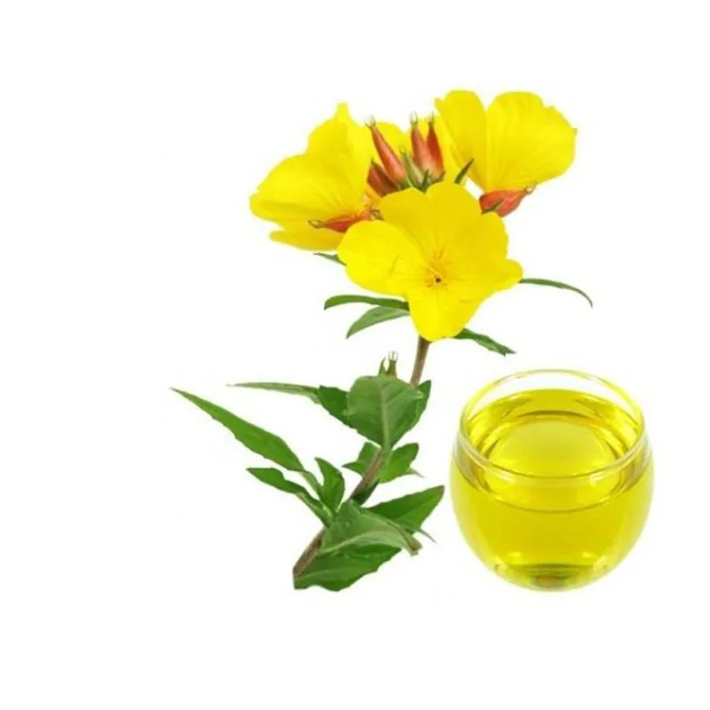 Evening Primrose Oil