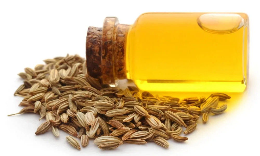 Fennel Oil