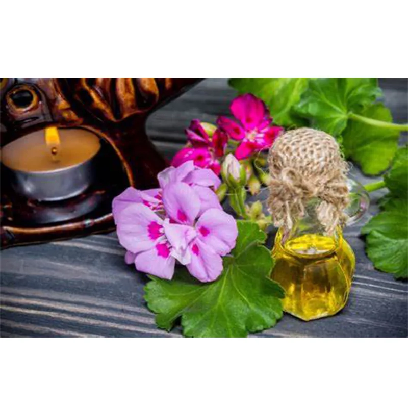 Geranium Oil