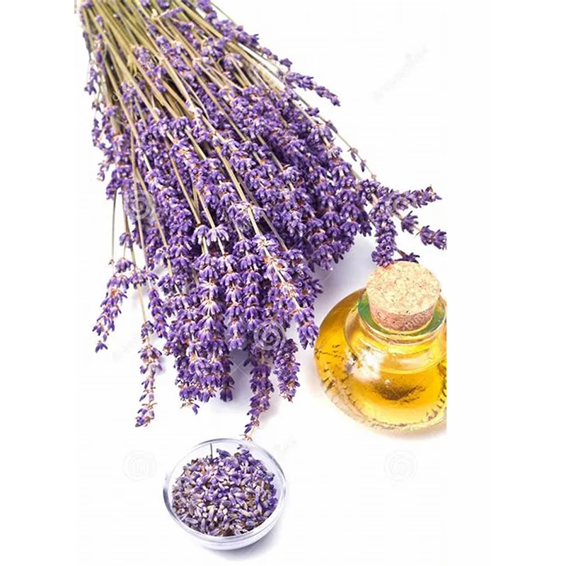 Lavender Oil