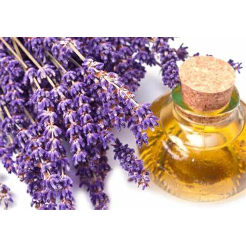 Lavender Oil