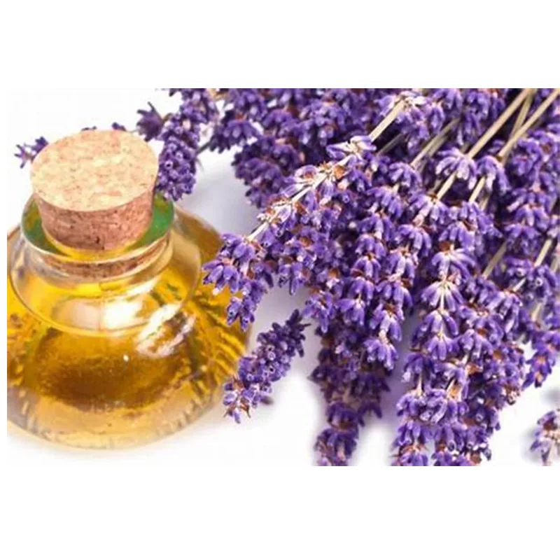 Lavender Oil