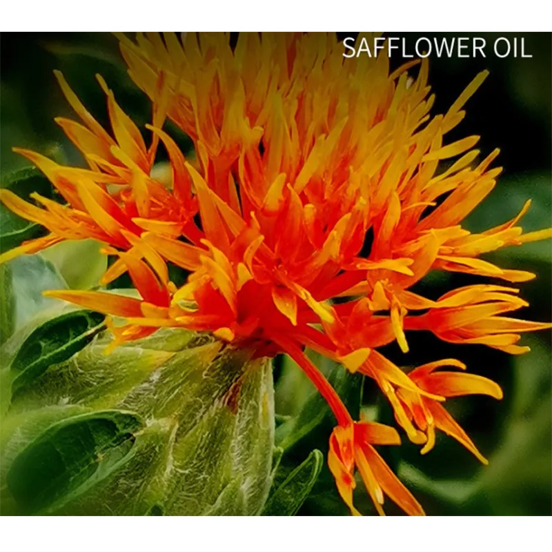 Safflower Oil