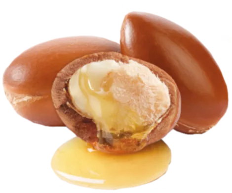 Shea Nut Oil