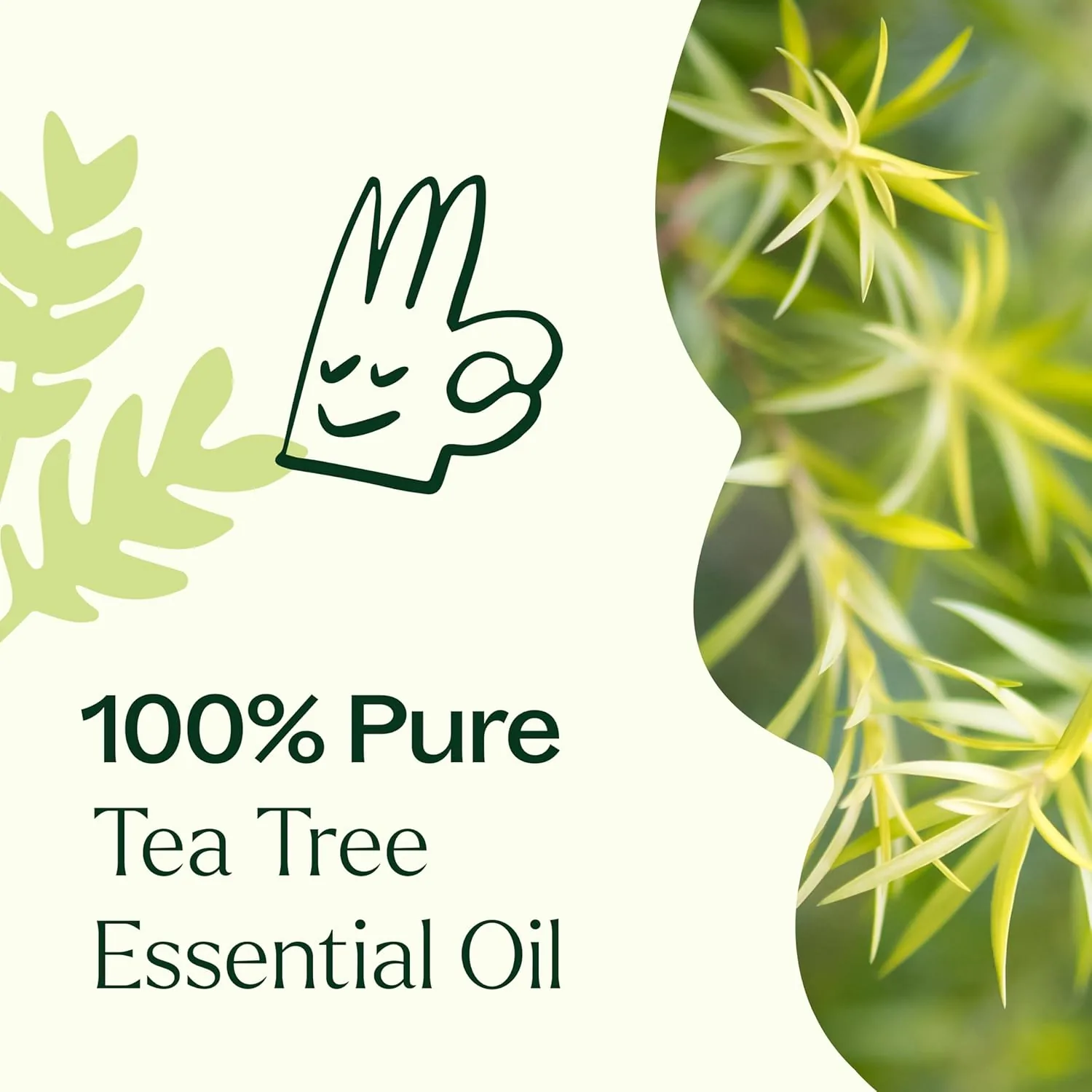 Tea Tree Oil