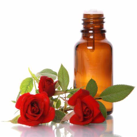 Rose Oil